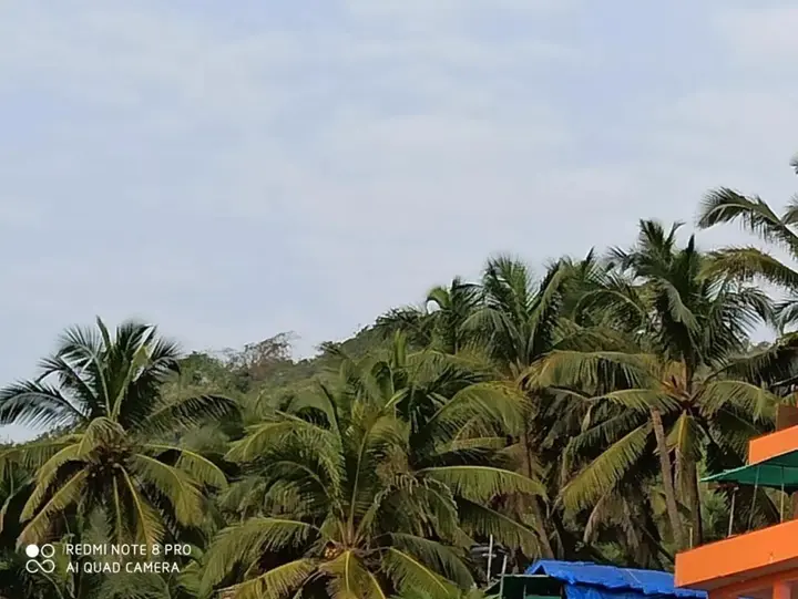 Арамбол: Goroomgo Om Ganesh Naik Cliff Side Guest House Goa