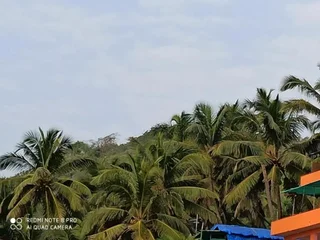 Арамбол: Goroomgo Om Ganesh Naik Cliff Side Guest House Goa