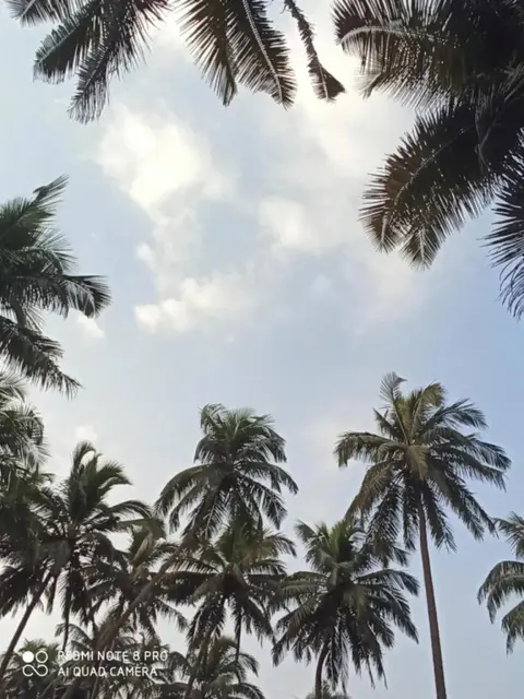 Арамбол: Goroomgo Om Ganesh Naik Cliff Side Guest House Goa