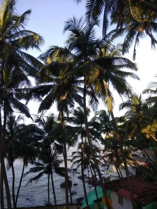 Арамбол: Goroomgo Om Ganesh Naik Cliff Side Guest House Goa