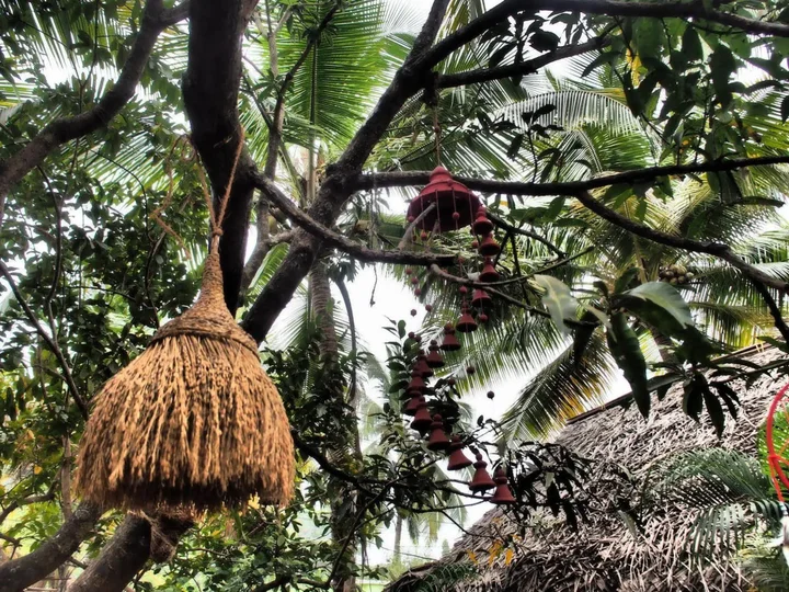 Южный Гоа: The Palm Trees Resort