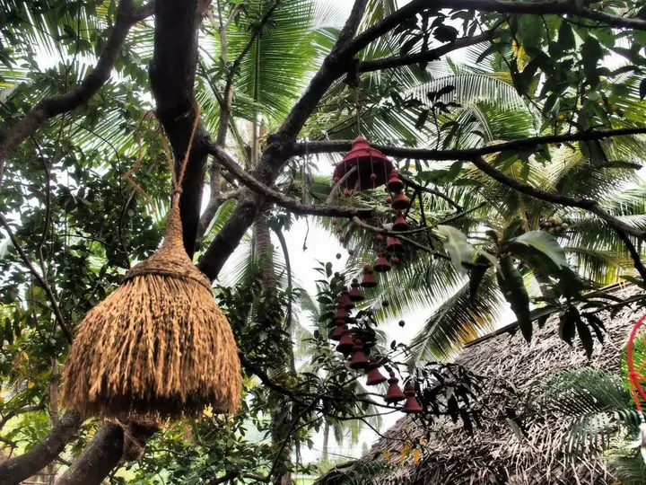 Южный Гоа: The Palm Trees Resort