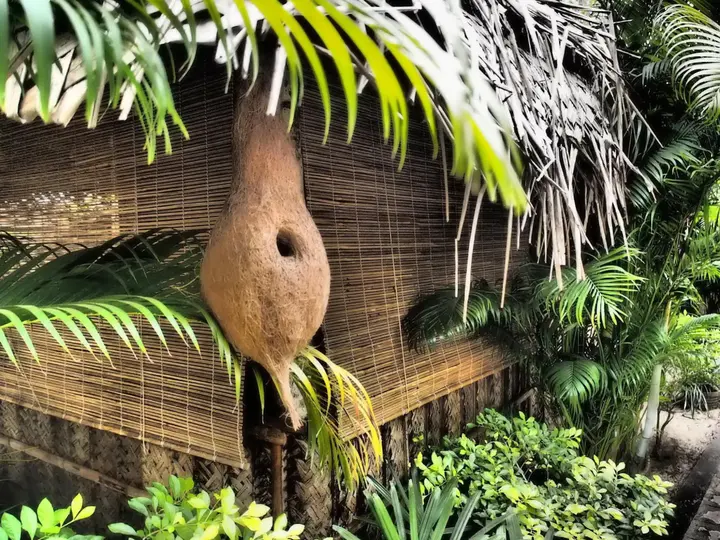 Южный Гоа: The Palm Trees Resort