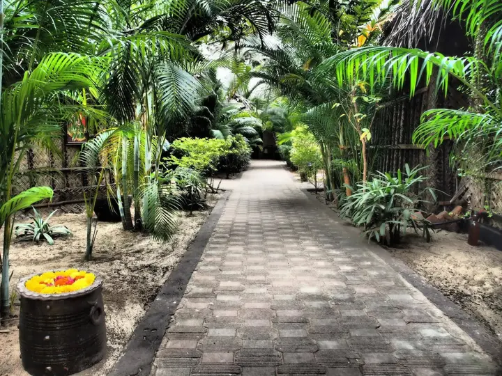 Южный Гоа: The Palm Trees Resort