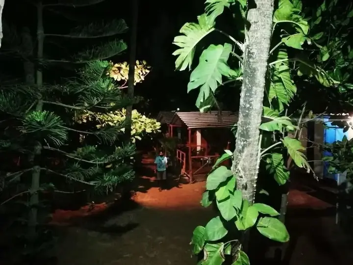 Южный Гоа: Royal Touch Beach Huts & Restaurant
