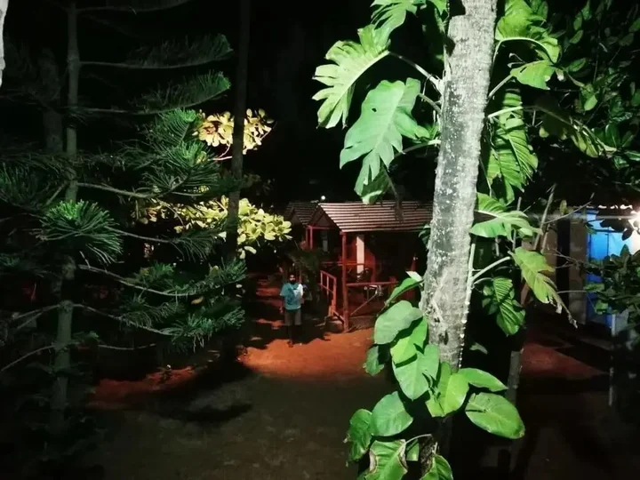 Южный Гоа: Royal Touch Beach Huts & Restaurant