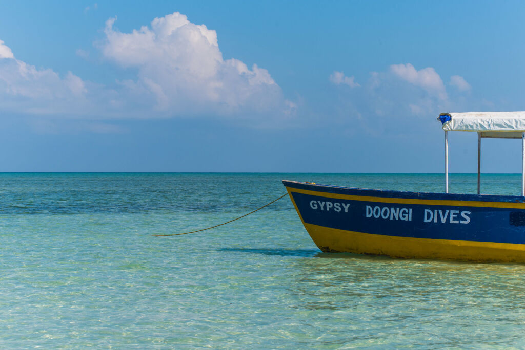 Остров Swaraj Dweep: Munjoh Ocean Resort