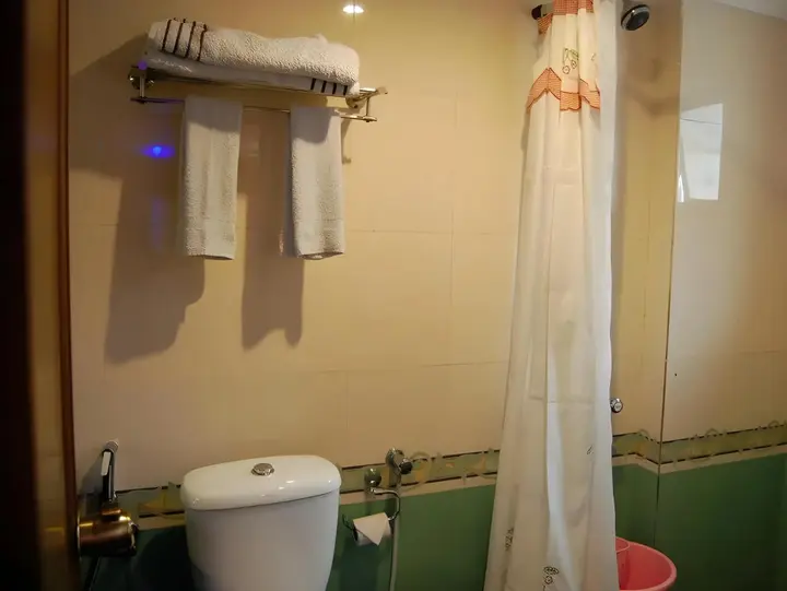 Тирруччираппалли: Hotel Royal Sathyam
