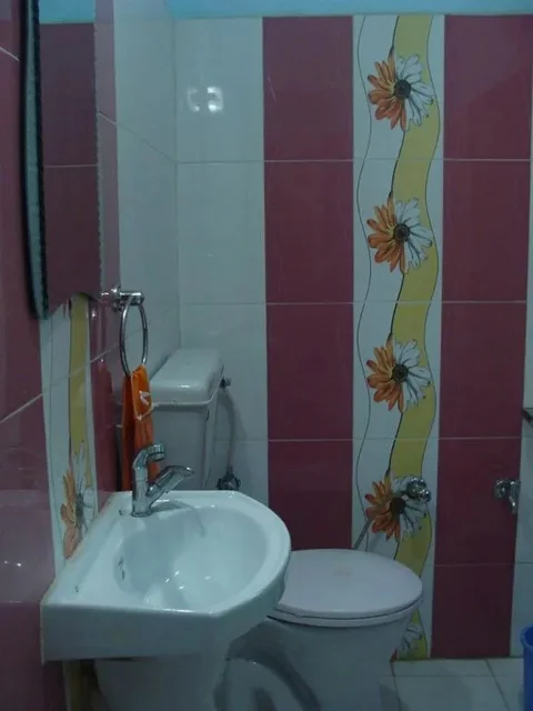 Джайсалмер: Hotel Rose Villa
