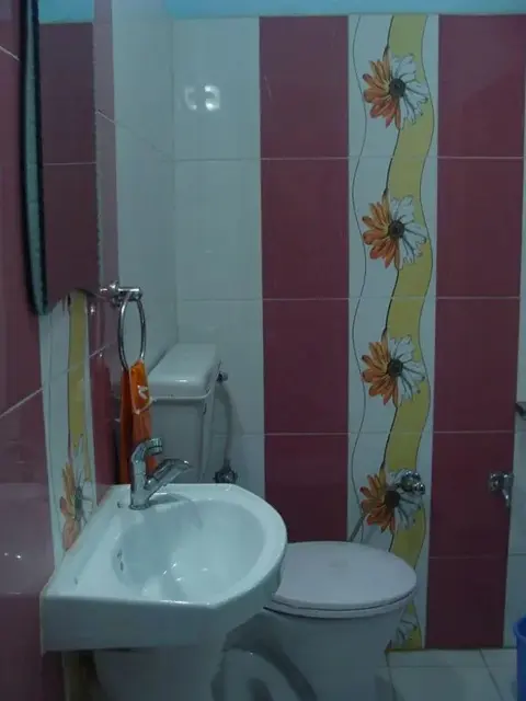 Джайсалмер: Hotel Rose Villa