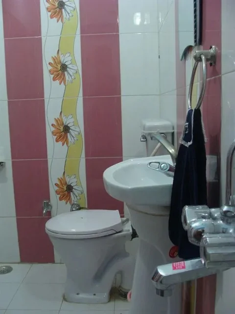 Джайсалмер: Hotel Rose Villa