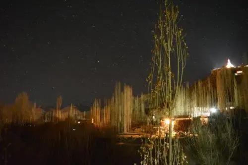 Лех: Gomang-Boutique Hotel Ladakh