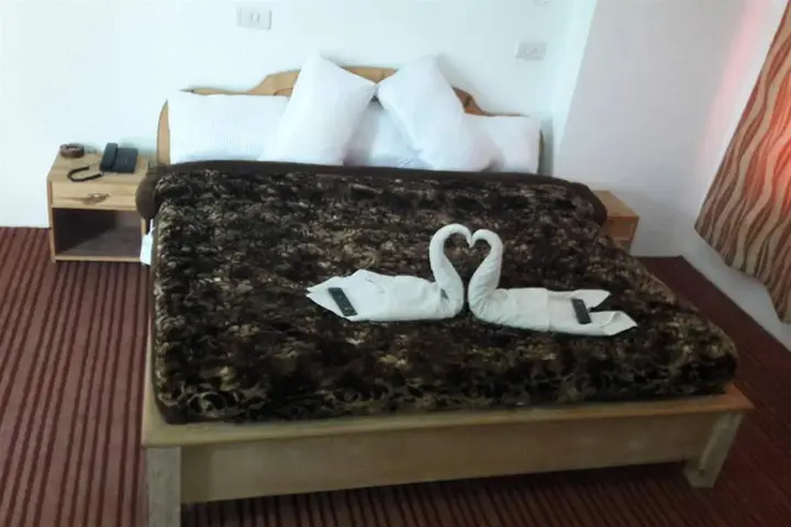 Шринагар: Hotel Poshimall
