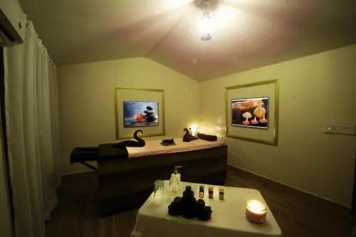 Баихар: 7 Tigers Resort
