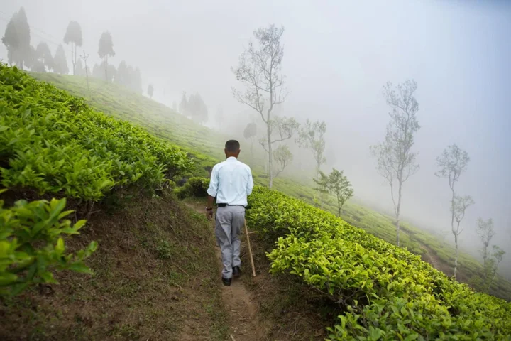 Багдогра: Sourenee Tea Estate & Boutique Resort