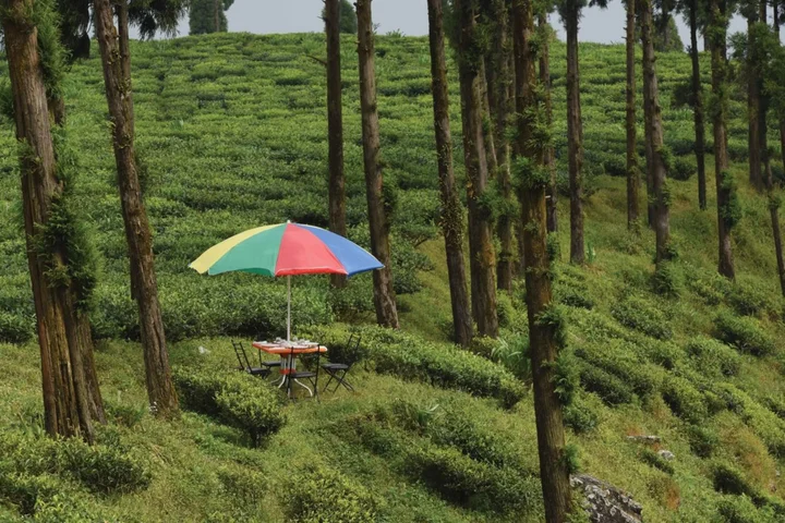 Багдогра: Sourenee Tea Estate & Boutique Resort