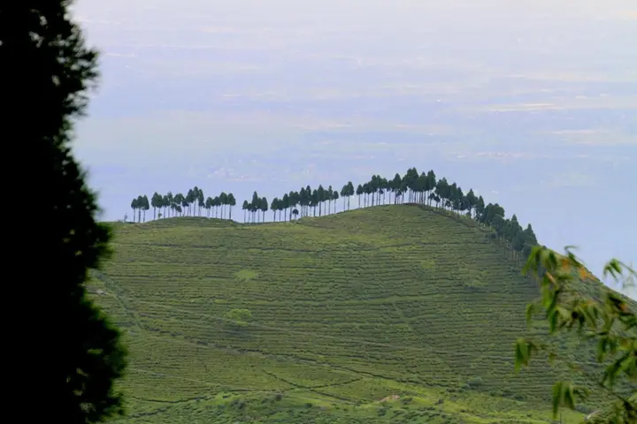 Багдогра: Sourenee Tea Estate & Boutique Resort