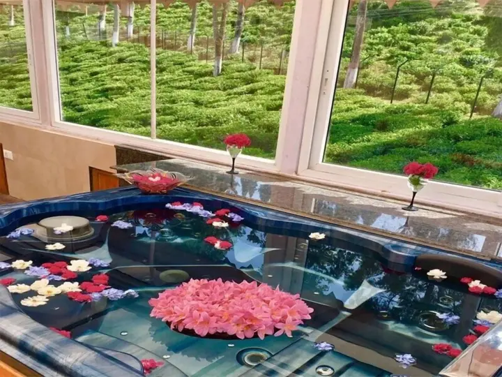 Багдогра: Sourenee Tea Estate & Boutique Resort