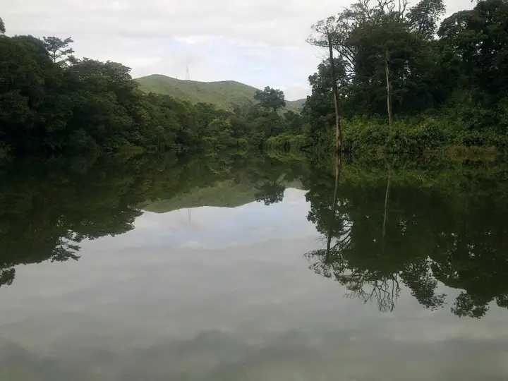 Periyar Woods — фото 2