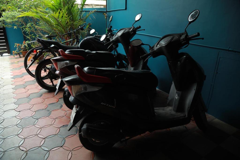 Коччи: Sajeev Home Stay