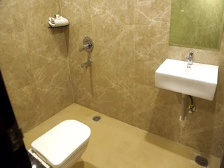 Индаур: Hotel Silvotel
