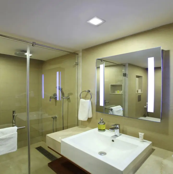 Ченнаи: Hotel Abu Palace - Chennai