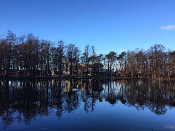 Зеленоградск: Апартаменты Baltic travel Cranz