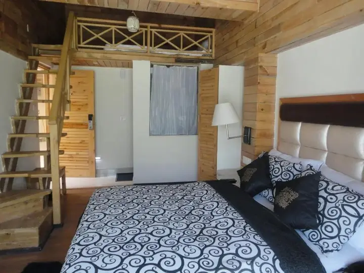 Манали: Swiss Wood Hotel