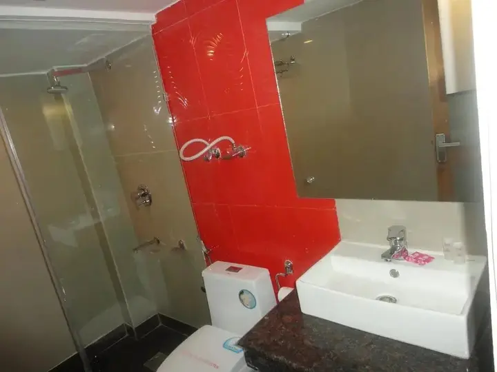 Манали: Swiss Wood Hotel