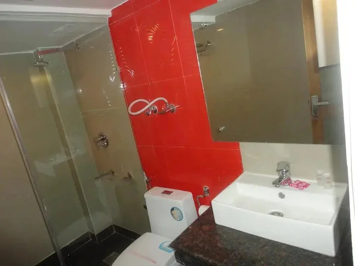 Манали: Swiss Wood Hotel