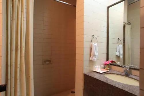 Катра: Hotel Jammu Ashok