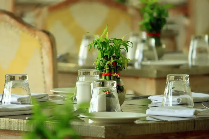 Удаипур: Tatsaraasa Resort and Spa Udaipur