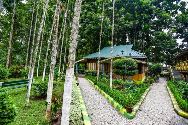 Уттар Митиали: Aranya Jungle Resort