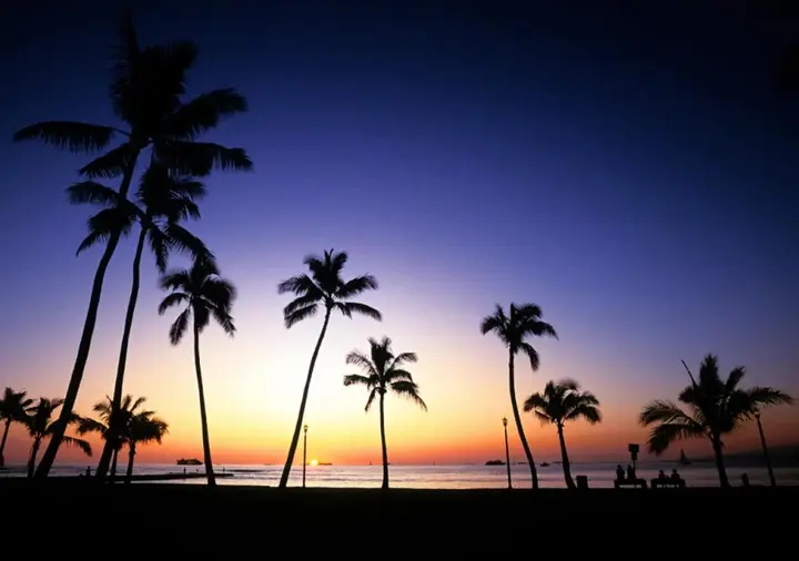 Муруд: Exotica - The Beach Resort