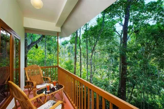Куттикканам: Coffee Routes