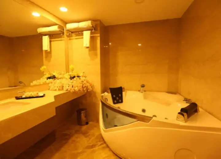 Ченнаи: Hotel Chennai Le Palace