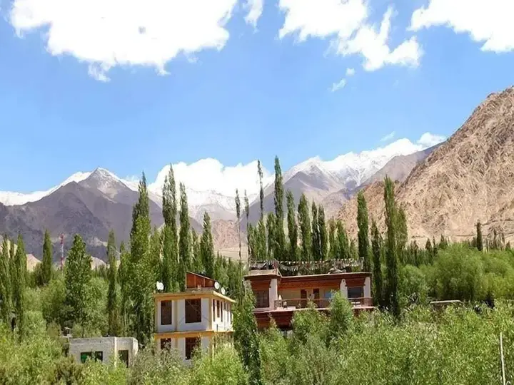 Hotel Himalaya Villa — фото 1