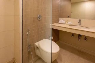 Амритсар: Hotel Mint Park Maple