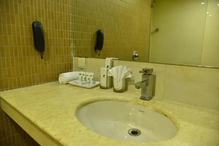 Амритсар: Hotel Mint Park Maple