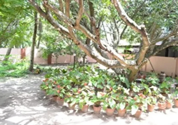 Аллеппи: Tharavad Heritage