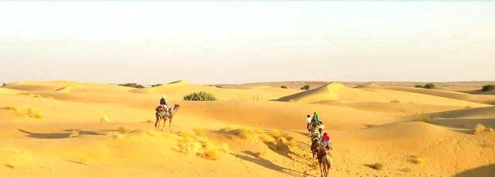 Джайсалмер: Abu Safari Jaisalmer
