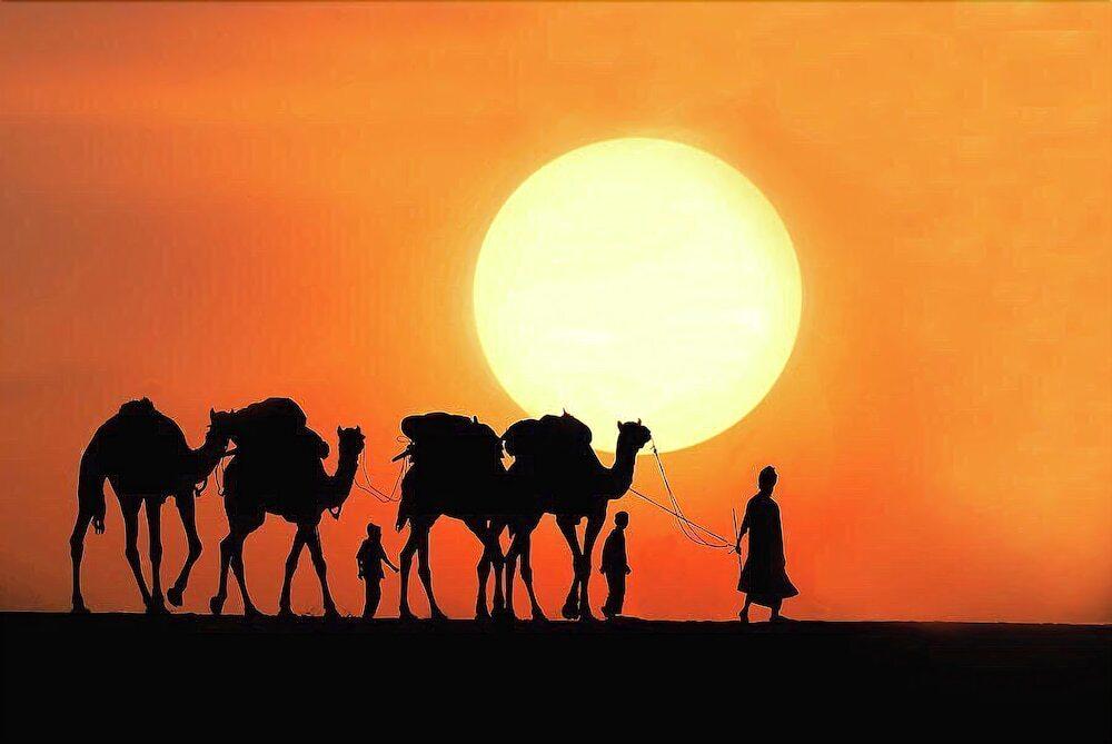 Джайсалмер: Abu Safari Jaisalmer