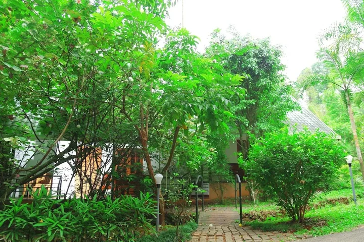 Велламундра: Vythiri Greens Resort