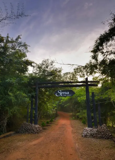 Панпата: Syna Tiger Resort - Bandhavgarh