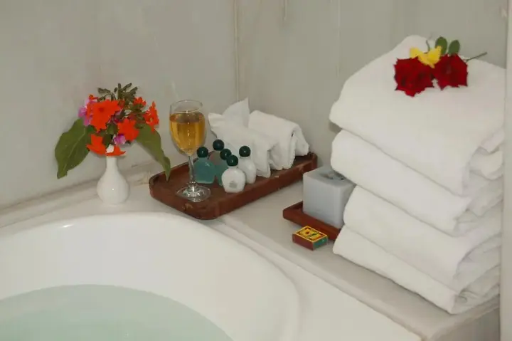 Аурангабад: The Meadows Resort and Spa