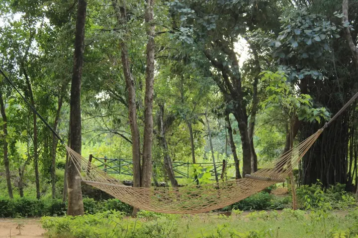Панпата: Tiger Trails Resorts