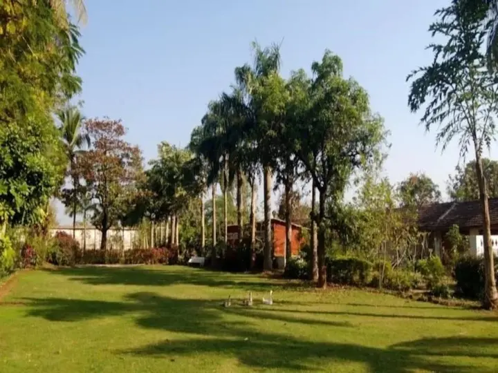Джамбугода: Jambughoda Palace - A home for Nature Lovers