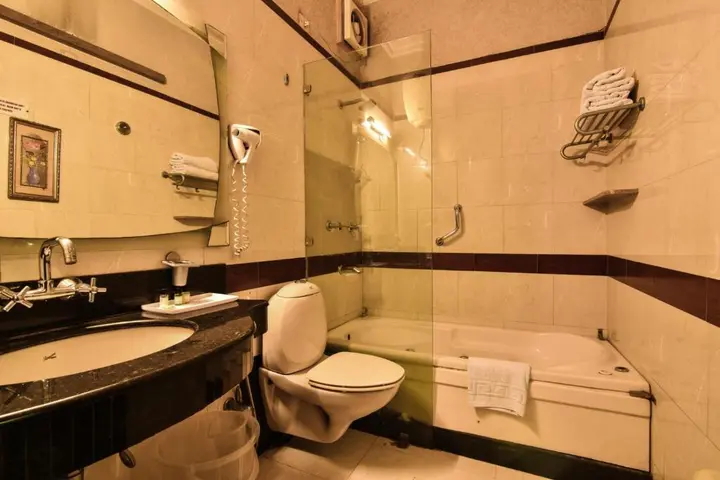 Нью-Дели: Hotel Royal Castle Grand