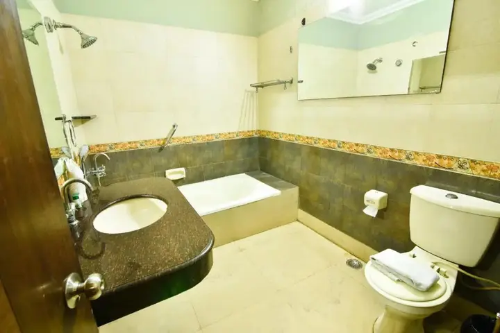 Нью-Дели: Hotel Royal Castle Grand