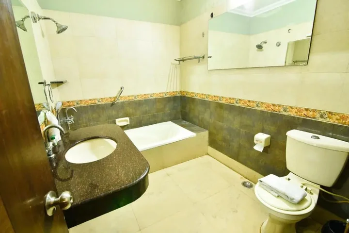 Нью-Дели: Hotel Royal Castle Grand